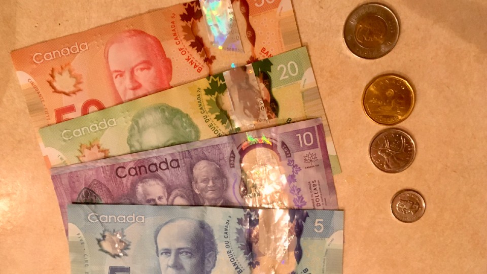 カラフルなカナダのお金